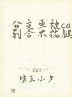 公交车被cao到合不拢腿视频
