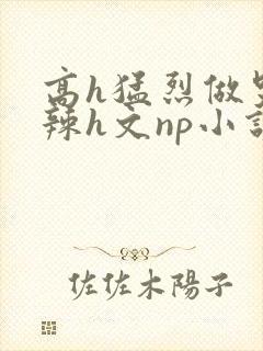 高h猛烈做哭高辣h文np小说