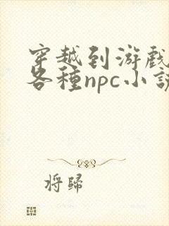 穿越到游戏里和各种npc小说封面