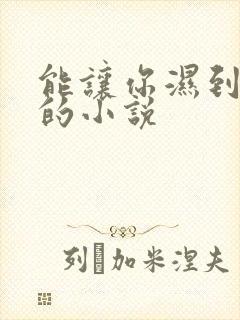 能让你湿到不行的小说