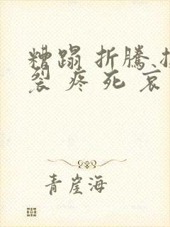 糟蹋 折腾 撕裂 疼 死 哀求
