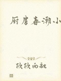 厨房春潮小说