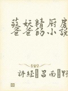 苏妖精厨房爹爹爸爸的小说