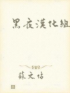 黑夜汉化组