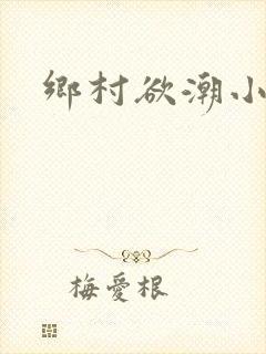 乡村欲潮小说封面