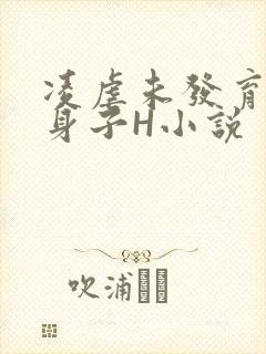 凌虐未发育的小身子H小说