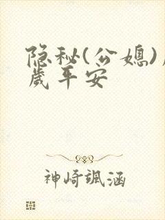 隐秘(公媳)岁岁平安封面