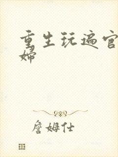 重生玩遍官场贵妇