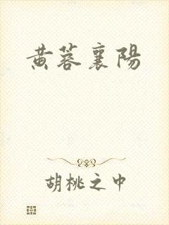 黄蓉襄阳