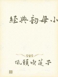 经典韵母小说