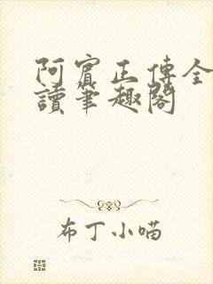 阿宾正传全文阅读笔趣阁封面