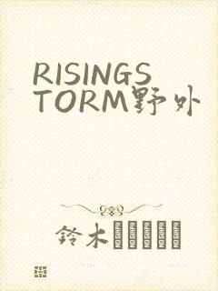 RISINGSTORM野外封面