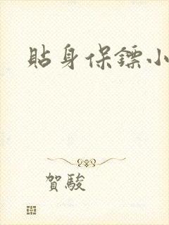 贴身保镖小说