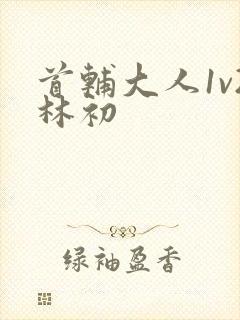 首辅大人1v2林初