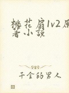 桃花扇1v2原著小说封面