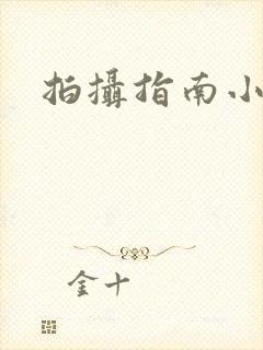 拍摄指南小说