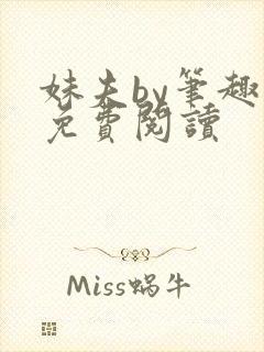 妹夫by笔趣阁免费阅读封面