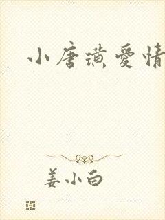 小唐璜爱情历史