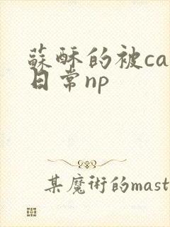 苏酥的被cao日常np