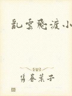 乱云飞渡小说