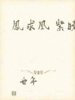 凤求凰 紫晓封面