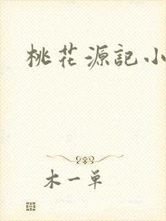 桃花源记小说封面
