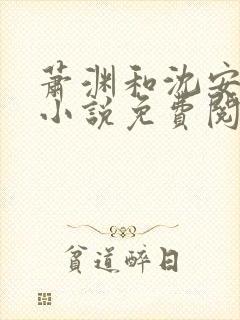 萧渊和沈安安的小说免费阅读