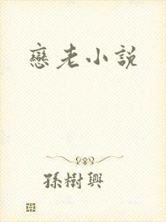 恋老小说