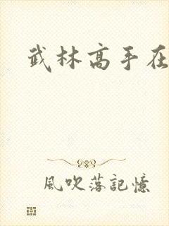 武林高手在异界