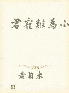 君宠难为小说封面