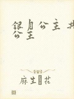 银月公主 共享公主
