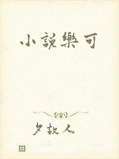 小说乐可封面