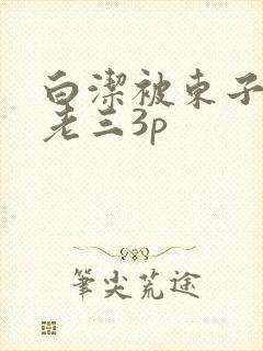 白洁被东子老二老三3p
