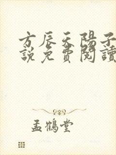 方辰天阳子的小说免费阅读