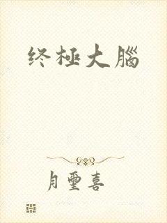 终极大脑