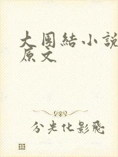 大团结小说阅读原文
