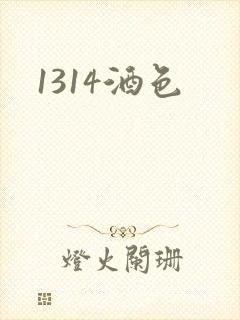 1314酒色封面