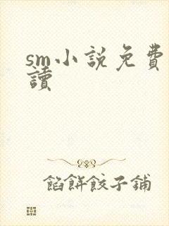 sm小说免费阅读