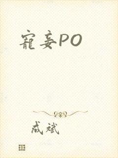 宠妾PO封面