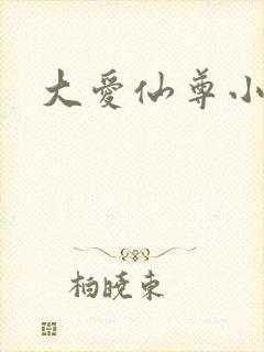 大爱仙尊小说