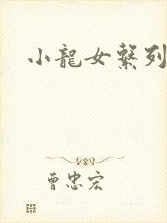 小龙女系列小说