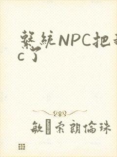 系统NPC把我c了