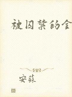被囚禁的金丝雀