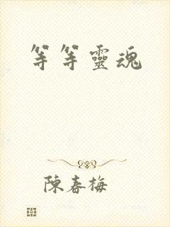 等等灵魂