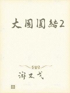 大团圆结2封面