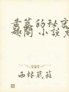 黄蓉的秘密 笔趣阁 小说免费阅读封面