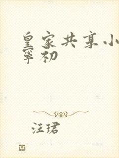 皇家共享小公主宁初