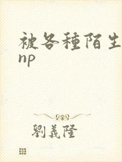 被各种陌生人 np