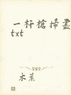 一杆枪扫尽全家txt