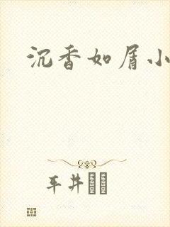沉香如屑小说封面